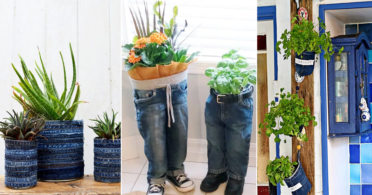 Creative Diy Jeans Planter Ideas Hello Lidy