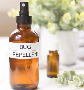 peppermint oil for bugs outside