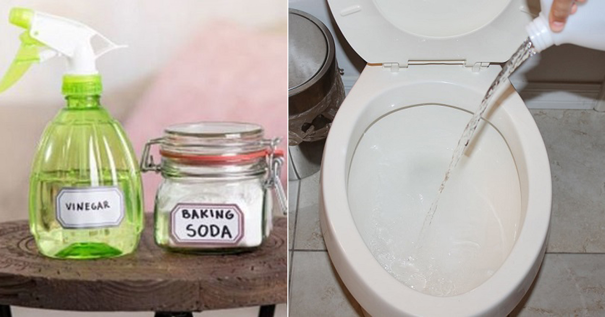 How To Unblock A Toilet With Baking Soda And Vinegar Unclog Your