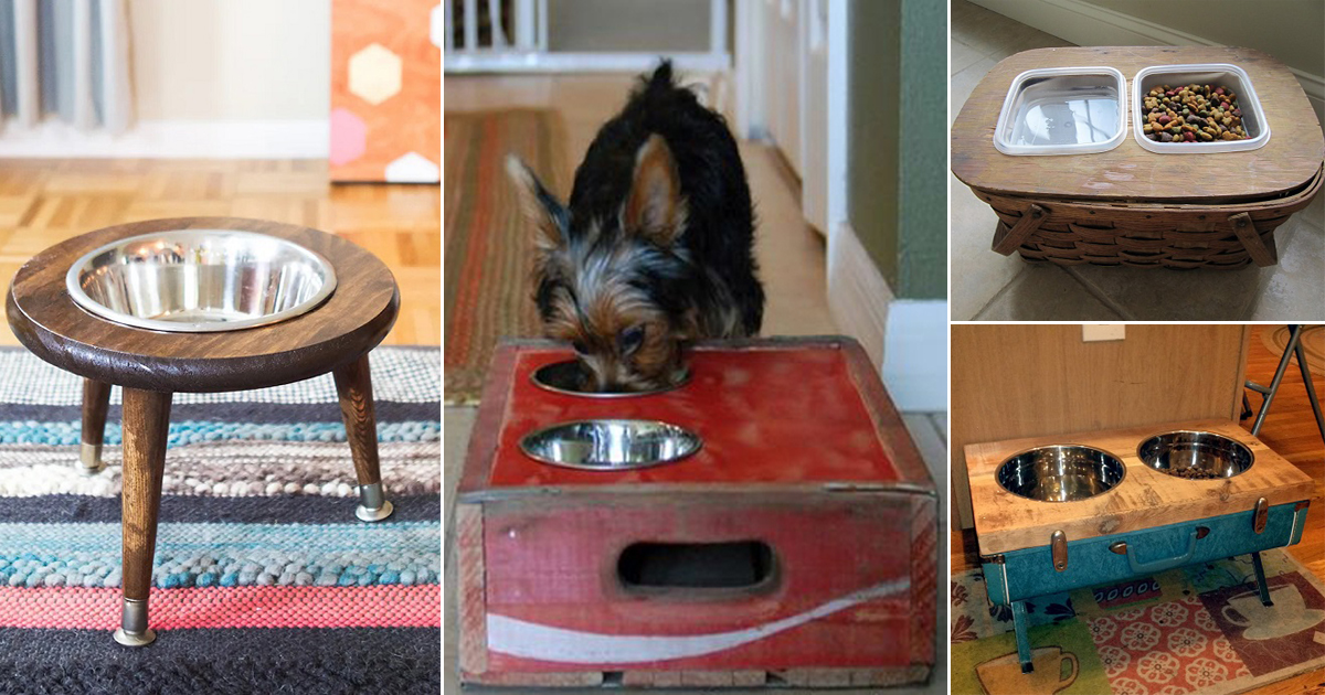 https://www.hellolidy.com/wp-content/uploads/2021/11/24-DIY-Dog-Feeding-Station-Ideas2.jpg